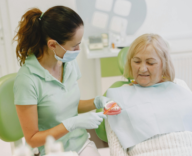 Dentist showing a denture model to a senior patient