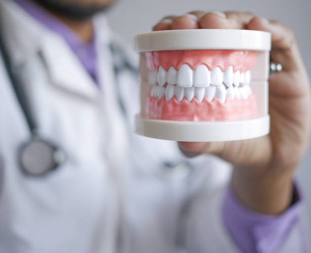 Dentist holding a full set of dentures model