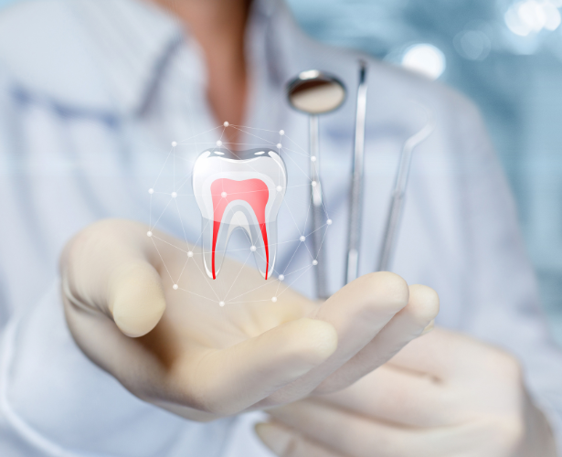 Dentist holding infected tooth model before root canal treatment